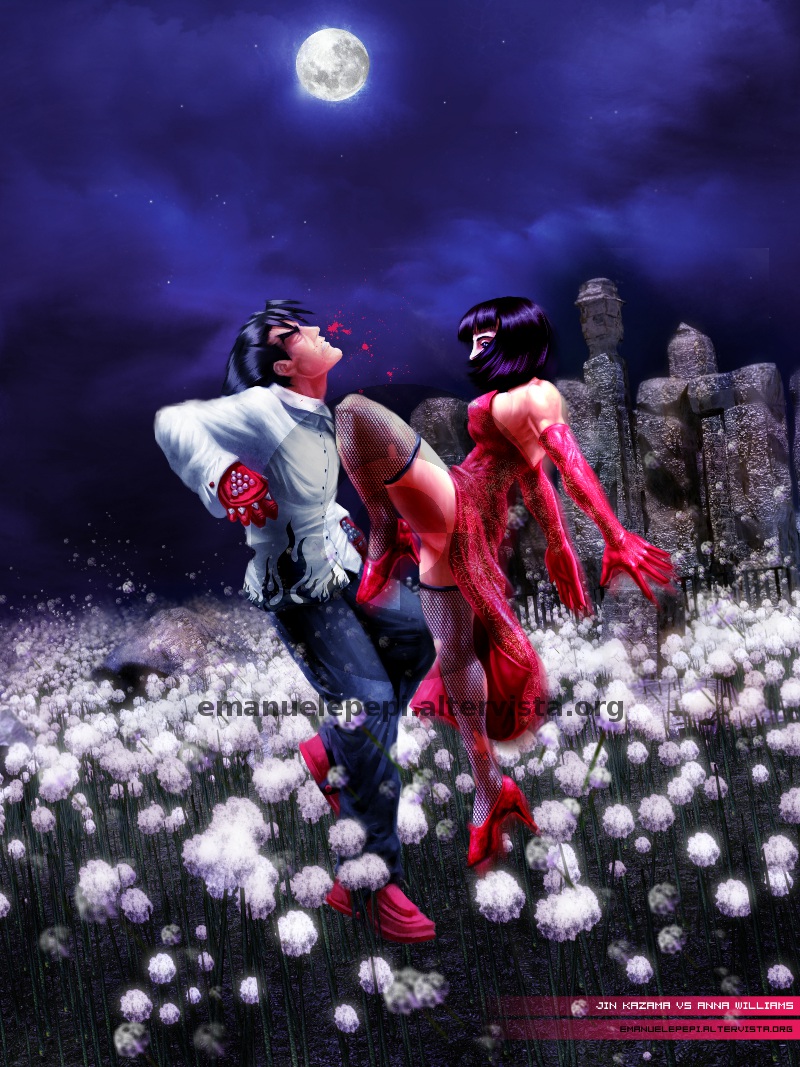Jin Kazama VS Anna Williams, characters of the Tekken series, artwork done with Gimp/MyPaint/Blender 